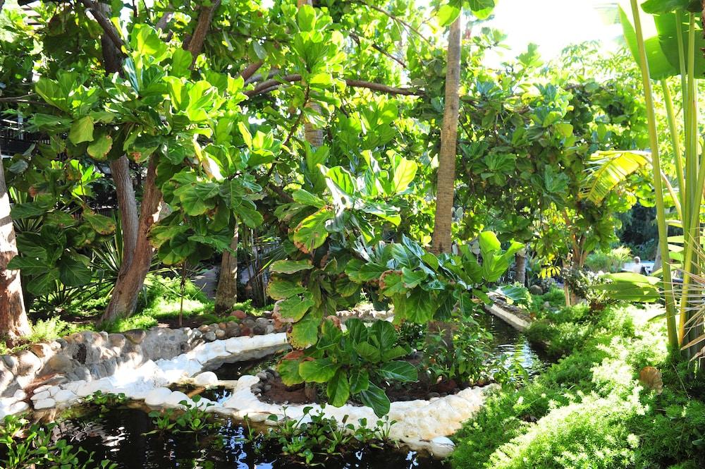 Parque Tropical Hotel 4*